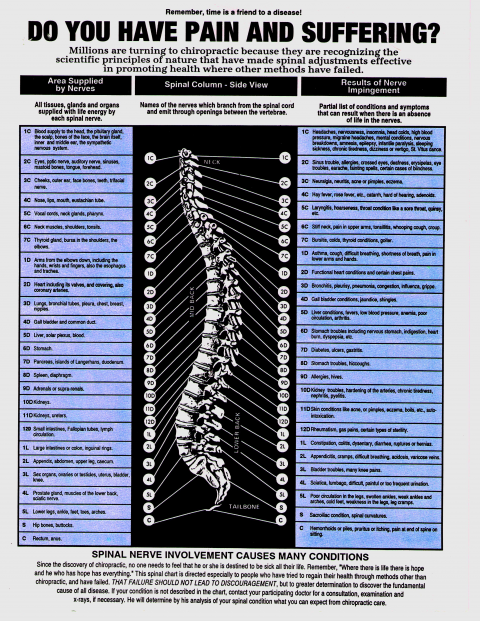 Wood Chiropractic Life Center Chiropractor In Gadsden Al Us Spinal Chart Wood Chiropractic